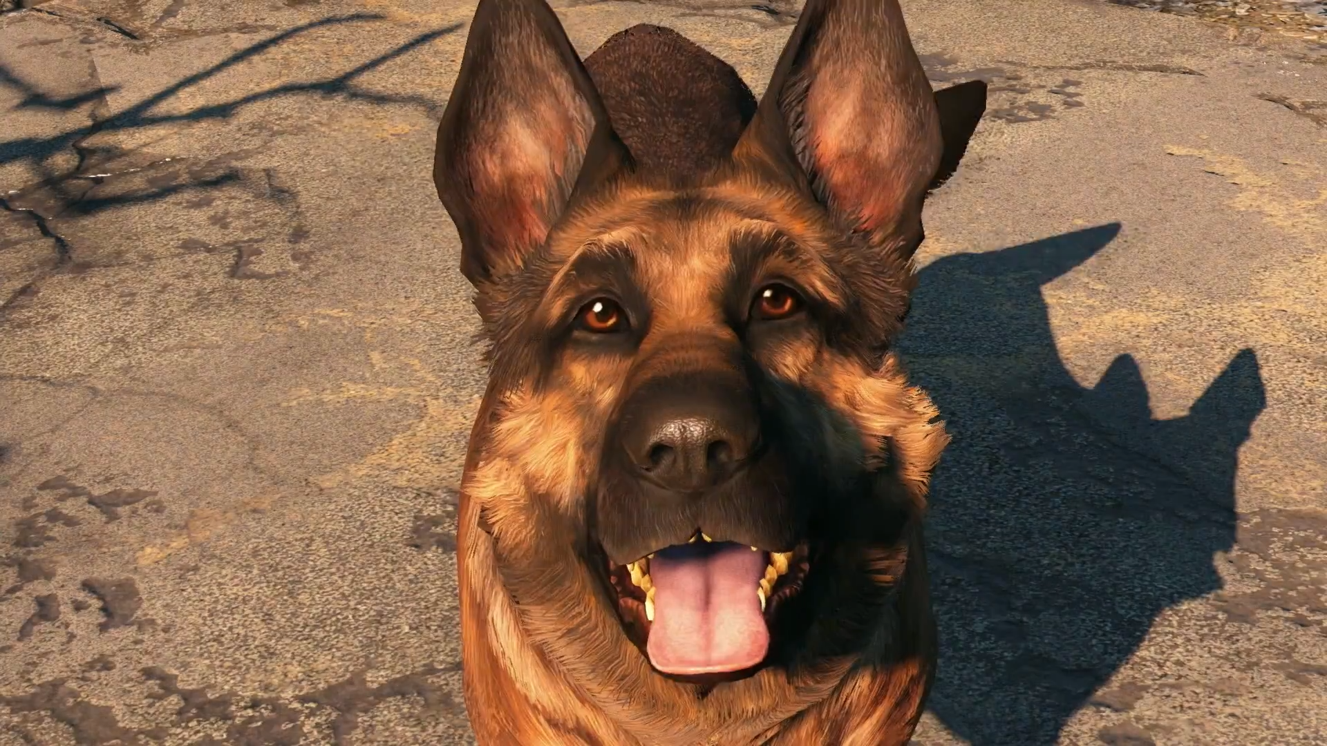 Fallout 4 Companion Guide Locations And Perks For All 13