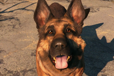 Dogmeat is your first companion in Fallout 4.