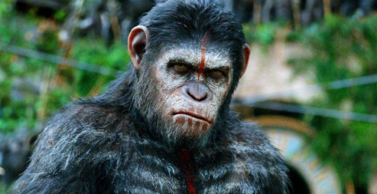 Motion capture star Andy Serkis will reprise his role as Caesar (pictured) in War for the Planet of the Apes