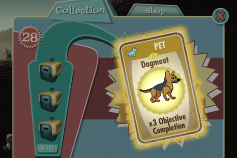 Fallout Shelter's latest update brings pets! Check out our complete list of dogs and cats you can have in the new animal update from Bethesda