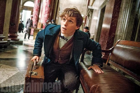 Eddie Redmayne stars as Newt Scamander in the upcoming 'Fantastic Beasts and Where to Find Them'