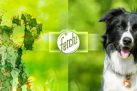 Microsoft released an app called Fetch! that will enlighten users about what kind of dog they are. Developed through Microsoft Garage, the app uses facial recognition to categorize humans by dog breeds. 