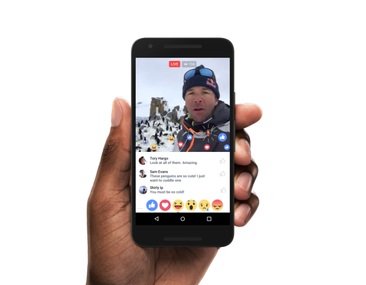 Learn how to turn off Facebook Live notifications for good. 