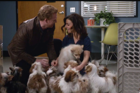 Owen and Amelia play with puppies. 