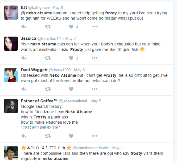 Neko Atsume fans complain about Frosty. Screencap: Twitter