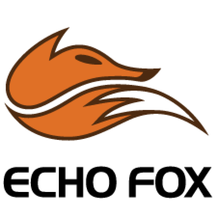 Echo Fox will hopefully have a much better LCS split than their last. 