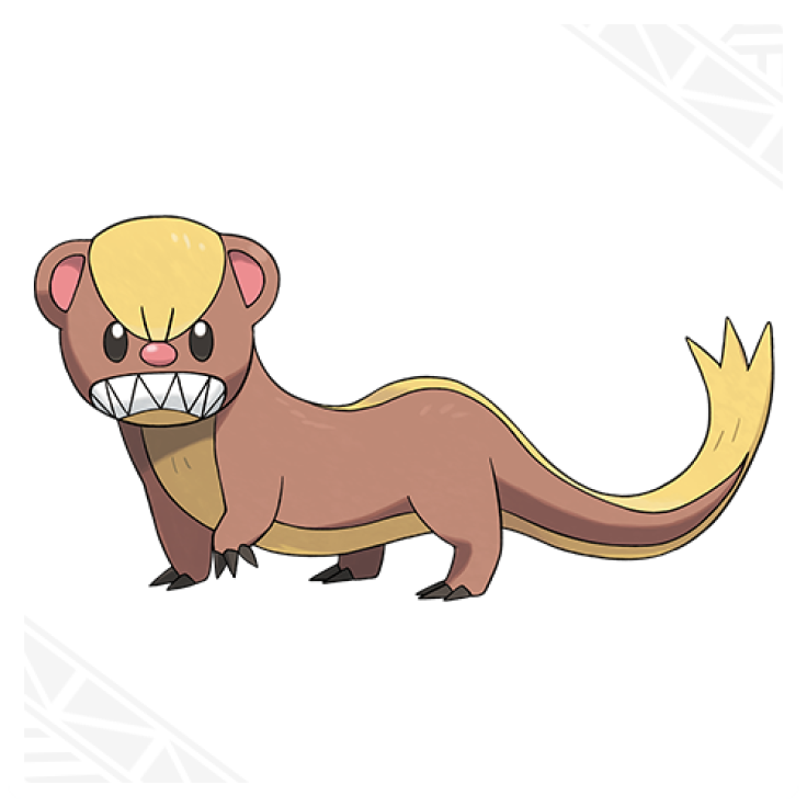 Yungoos in 'Pokemon Sun and Moon'