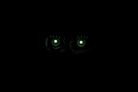 Five Nights At Freddy's: Sister Location is apparently getting a sequel of some kind. These bright eyes in this teaser are the eyes of Baby. She's looking for revenge against her former friends.