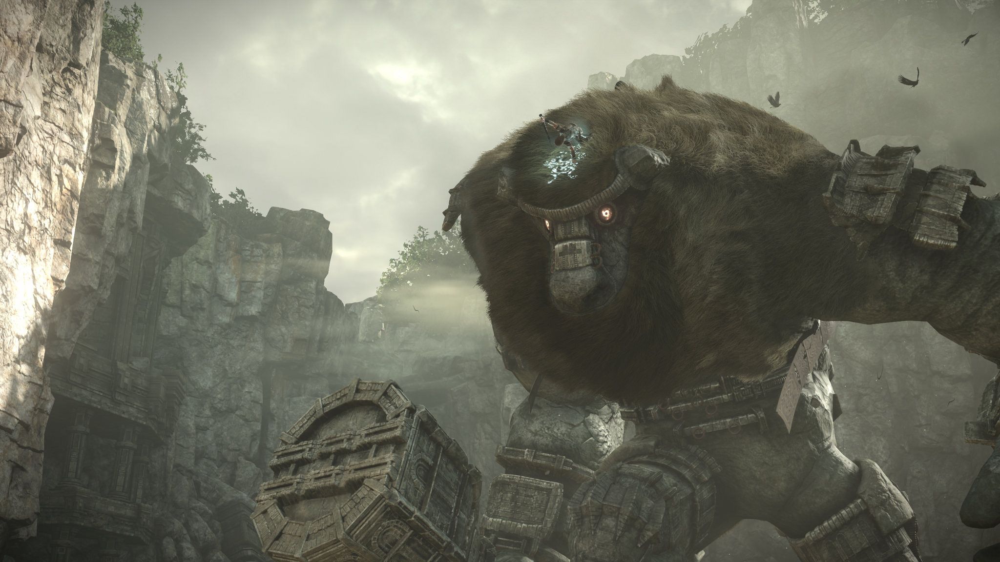 Shadow Of The Colossus, AKA Best Game Ever, Is Being Remade For PS4