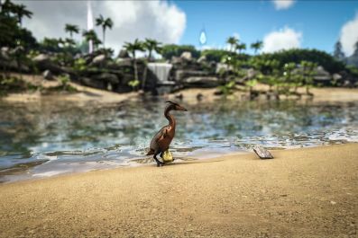 ARK: Survival Evolved has a new update on PS4, and it fixes a bunch of bugs in the game’s latest major patch. Issues related to skins, disconnects and crashes have been addressed. ARK: Survival Evolved is available now on PC, Xbox One, PS4, OS X and Linux