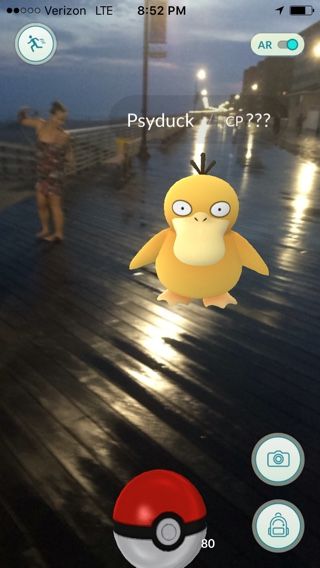 Psyduck, right before he became mine forever