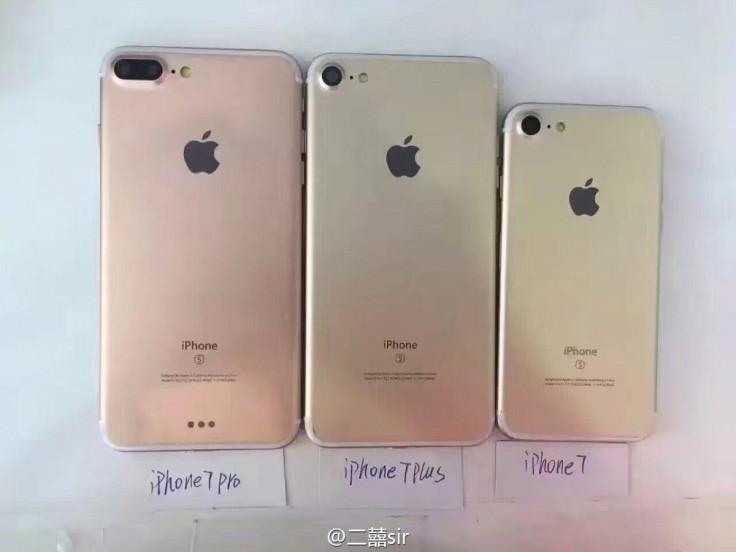 iPhone 7 family rear