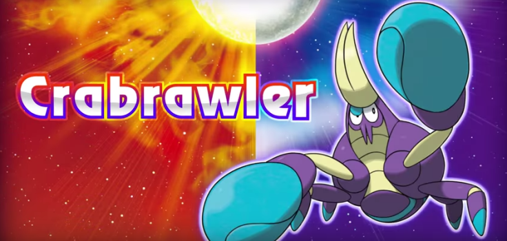 Crawbrawler in 'Pokemon Sun and Moon'