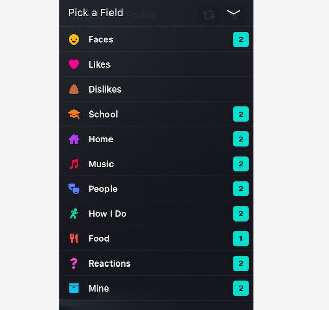 Lifestage has 11 different categories of filters you can use for your posts.