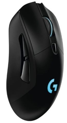 This mouse has no tail.