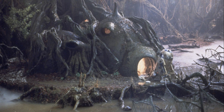 Yoda's hut on Dagobah.