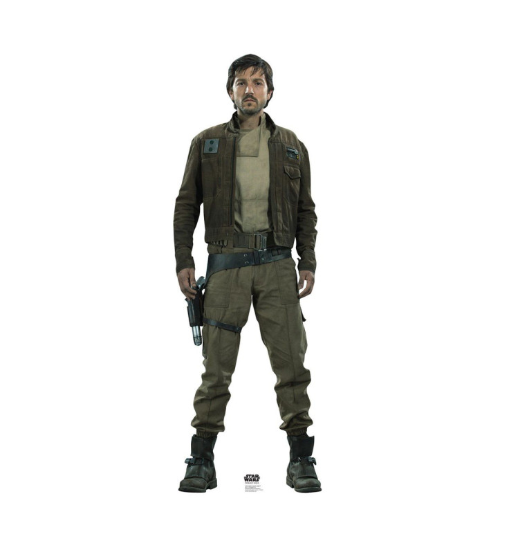 Captain Cassian Andor