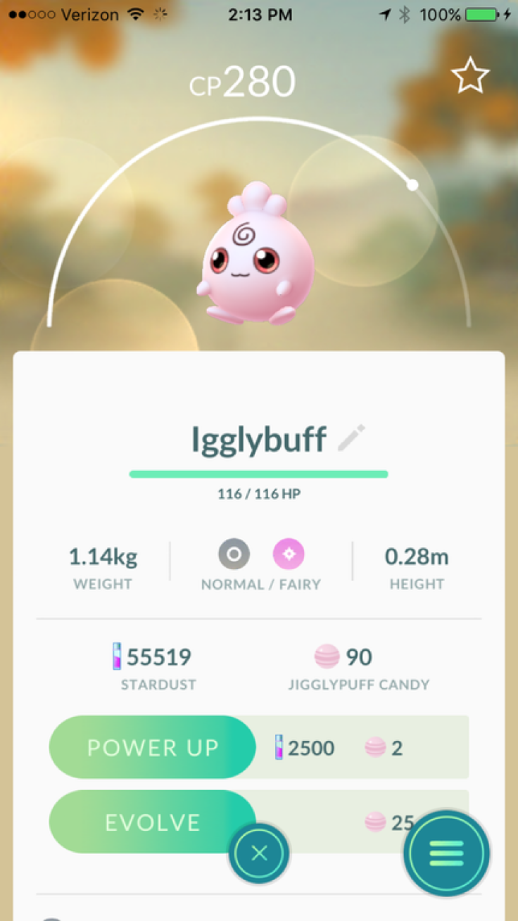 There's Igglybuff in all his cuteness