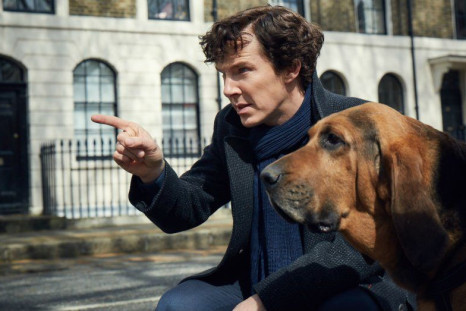 Sherlock and The Dog.