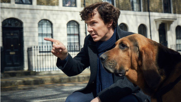 Sherlock and The Dog.