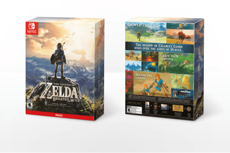 Legend of Zelda: Breath of the Wild Special Edition for Nintendo Switch.