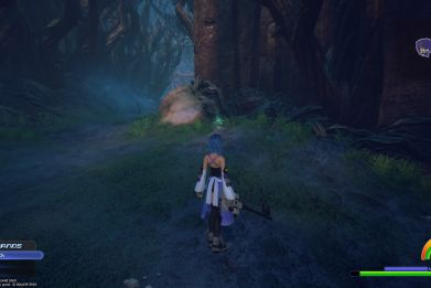 'Kingdom Hearts 2.8' has 51 Objectives, and this is the green flower required for Objective 34. Go straight through the first big fork in the road in the Forest Of Thorns. 'Kingdom Hearts 2.8' is available now on PS4.
