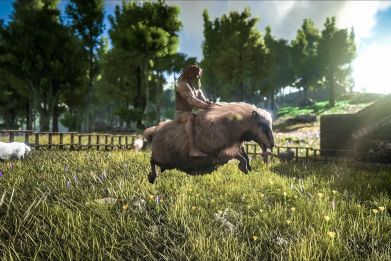 'Ark: Survival Evolved' has a sheep called the Ovis Aries. When  tamed, its wool can stand in for pelt. 'Ark: Survival Evolved' is available now on PC, Xbox One, PS4, Mac and Linux.