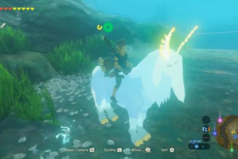 Learn how to mount the Lord of the Mountain secret horse in 'Breath of the Wild.
