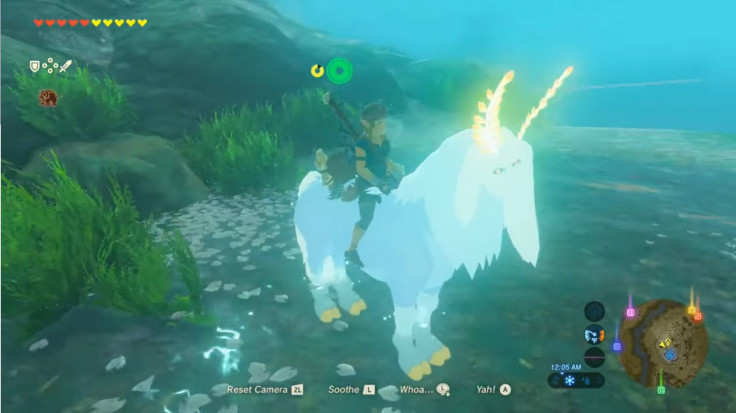 Learn how to mount the Lord of the Mountain secret horse in 'Breath of the Wild.