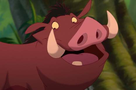 Pumba should be voiced by Zach Galifianakis, there I said it