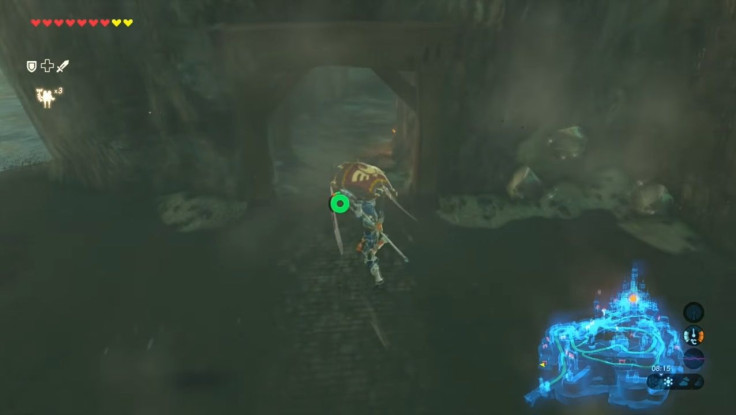 Glide to the entrance leading to the Hyrule Castle dungeons.