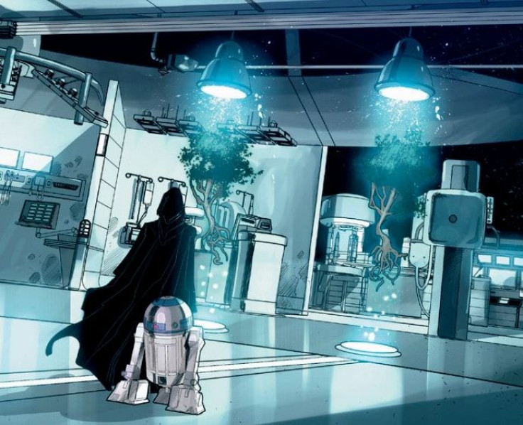 The Force trees captured by Luke Skywalker and Shara Bey in 'Star Wars: Shattered Empire.'