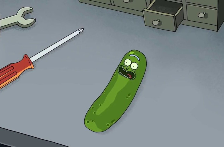 Pickle Rick in a preview for an upcoming Season 3 episode of 'Rick and Morty.'