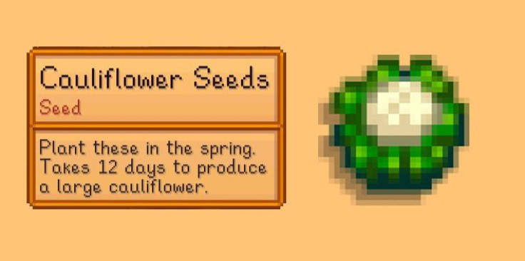 Cauliflower is ideal in the spring.