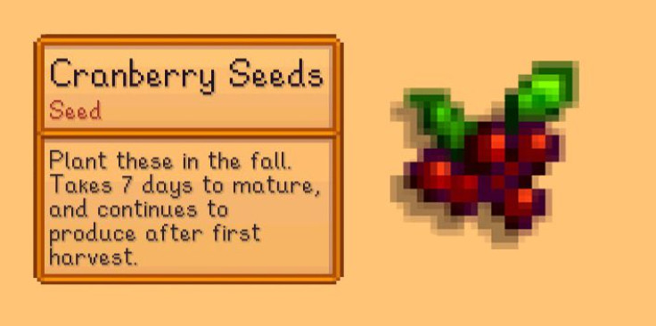 Cranberry seeds, great for urinary tract infections! Also, $$$.