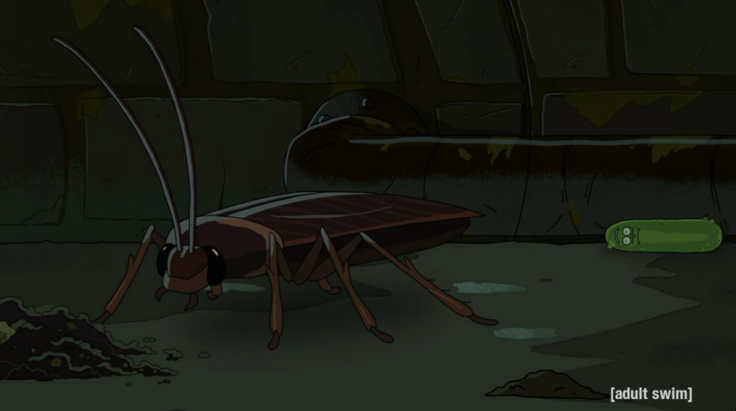 Pickle Rick contemplates how to harness the power of a cockroach in the third episode of Rick and Morty Season 3.