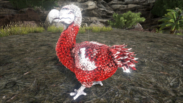 Dodos are meant for sacrifice in emergencies.