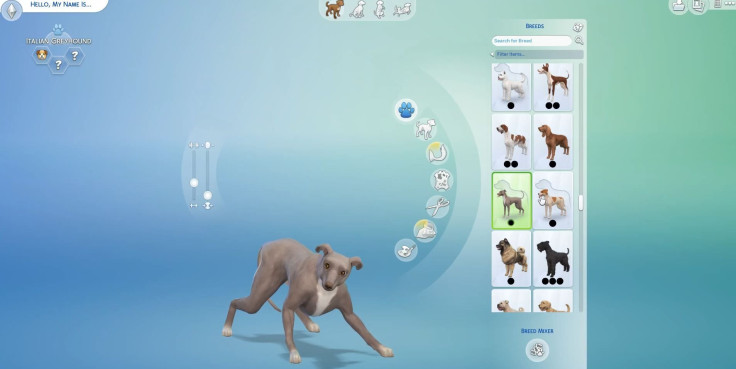 Sims 4: Cats & Dogs releases Nov. 10.