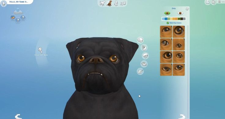 Sims 4: Cats & Dogs releases Nov. 10.