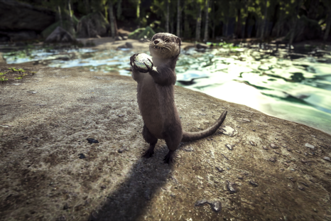 ARK: Survival Evolved v762 has arrived on Xbox One, and it brings the Otter and Phoenix to the game. This guy will keep you warm and stocked with fish. ARK: Survival Evolved is available now on PC, Xbox One, PS4, OS X and Linux.