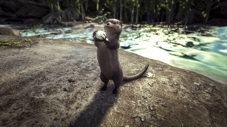 ARK: Survival Evolved v762 has arrived on Xbox One, and it brings the Otter and Phoenix to the game. This guy will keep you warm and stocked with fish. ARK: Survival Evolved is available now on PC, Xbox One, PS4, OS X and Linux.