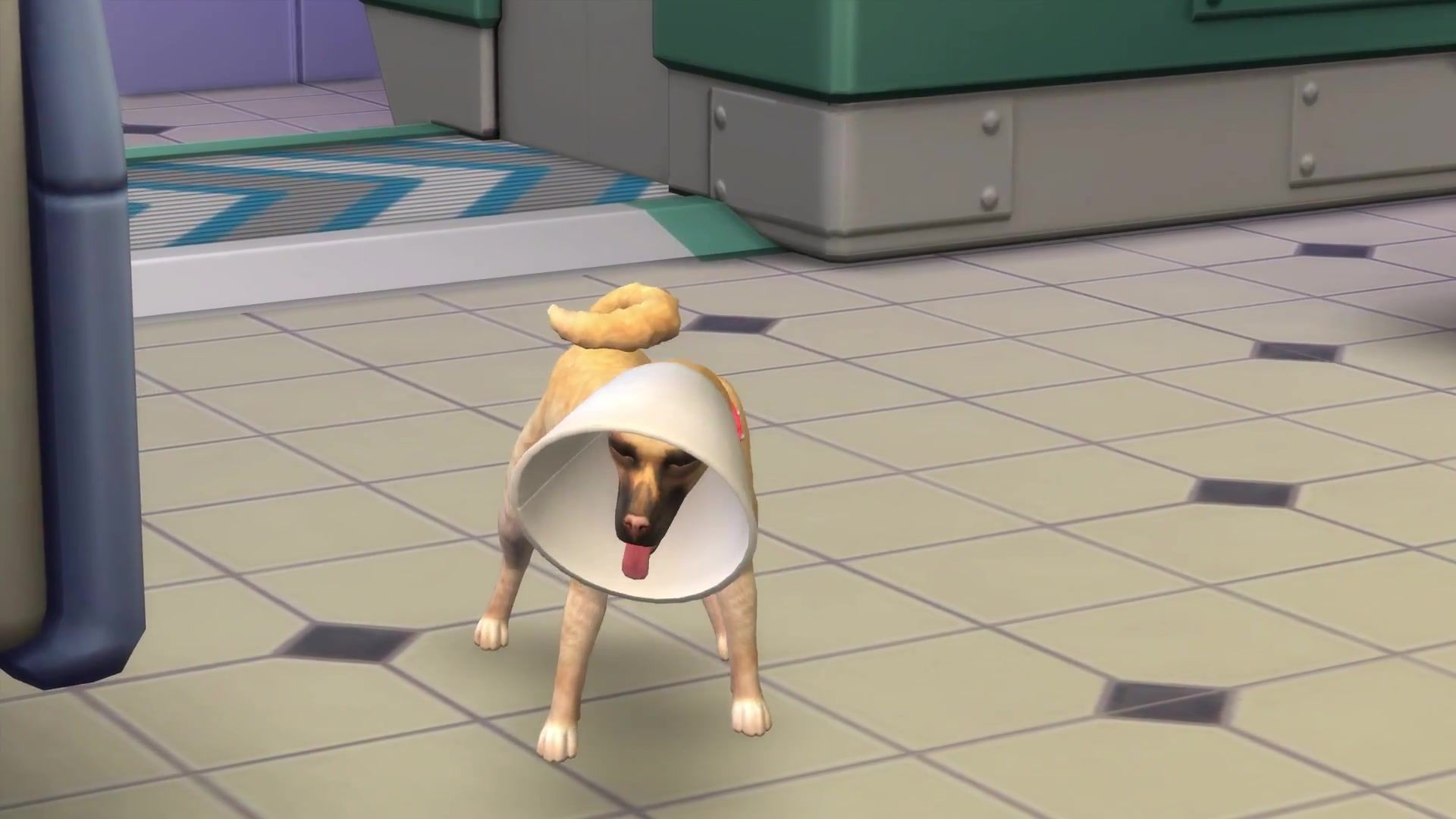 Dogs will probably hate this in the Sims just as much as they do in real life.