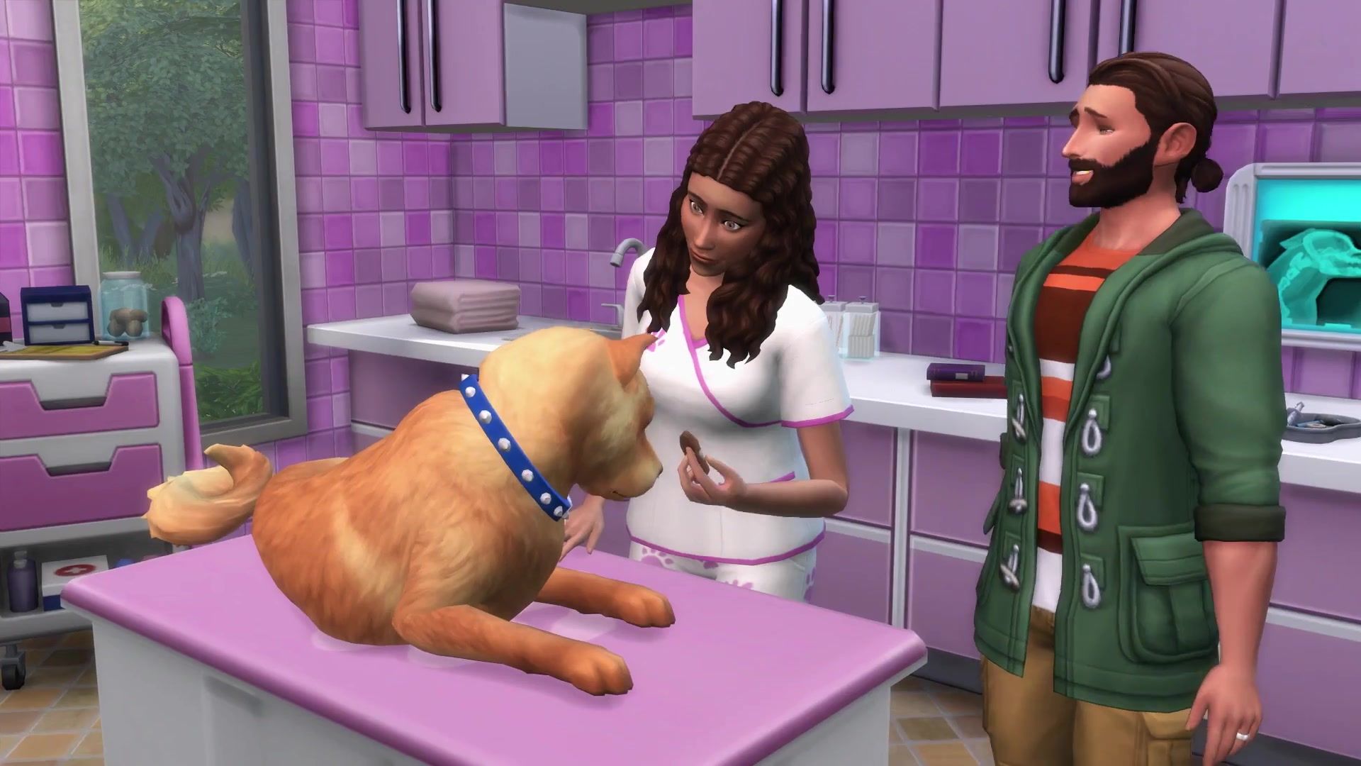 Take care of pets with the vet career in Sims 4 Cats  Dogs.