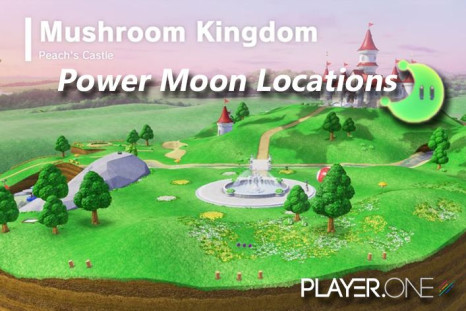 The Mushroom Kingdom is the final stop on your journey. 