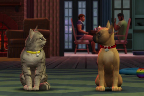 Some cats and dogs in question from the game. 