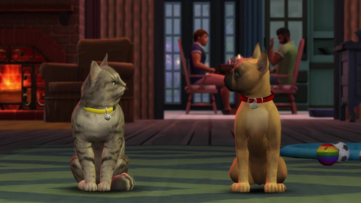 Some cats and dogs in question from the game. 