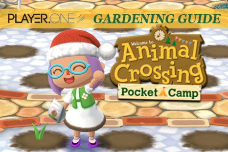 Heard about the Animal Crossing Pocket Camp gardening update but can't figure out how to plant flowers? Check out our complete flower guide including how to water and cross-pollinate, here.