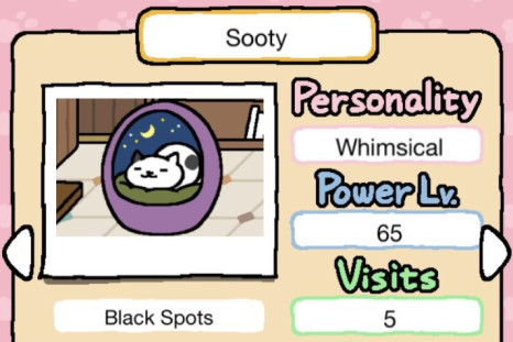 New Neko Atsume rate cat, Sooty.