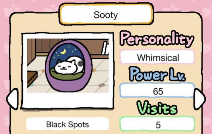 New Neko Atsume rate cat, Sooty.