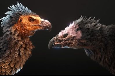 ARK: Survival Evolved will get an updated Argentavis soon. The reworked beast has a new skin and the ability to carry more passengers. ARK: Survival Evolved is available on PC, Xbox One and PS4.